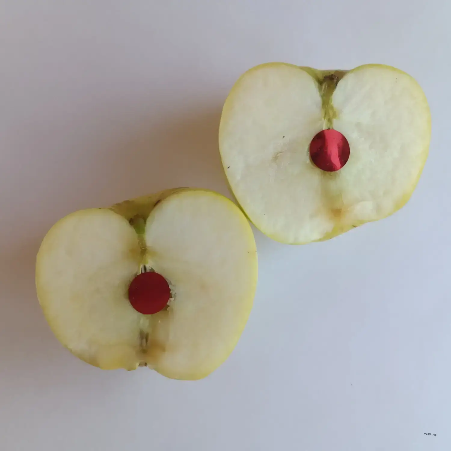 Raw Apple Bitcoin – The Forbidden Fruit Edition