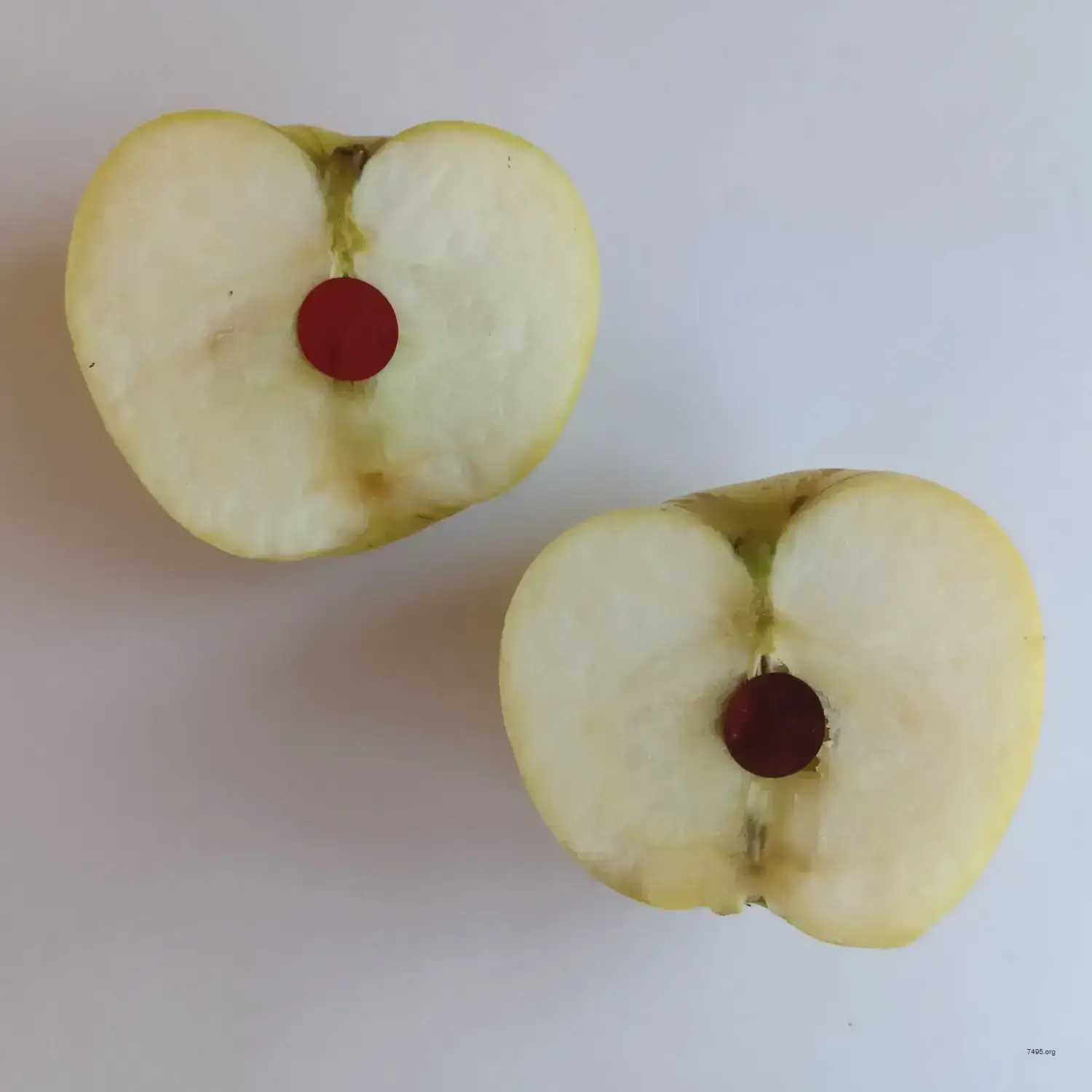 Apple Half Physical Bitcoin (Casascius Style)