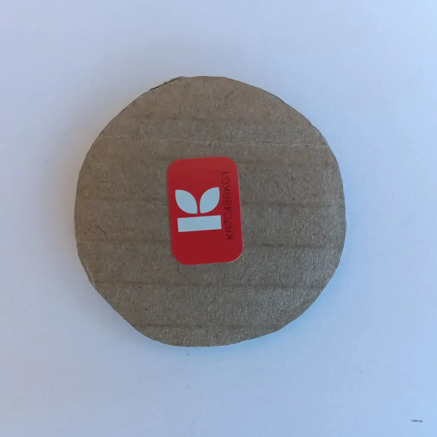 Craft Cardboard Bitcoin