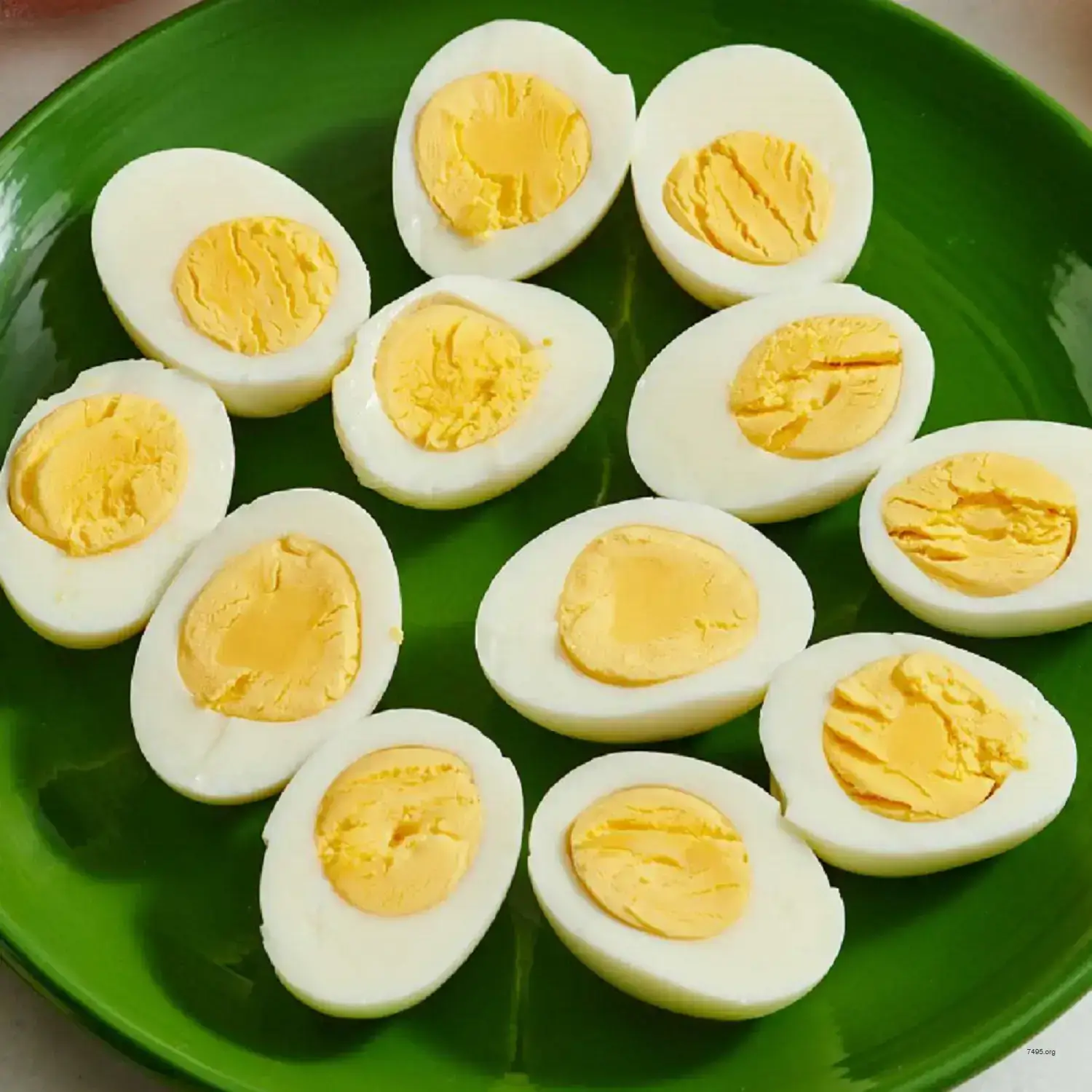 Hard-Boiled Egg Bitcoin – The Golden Yolk Edition 