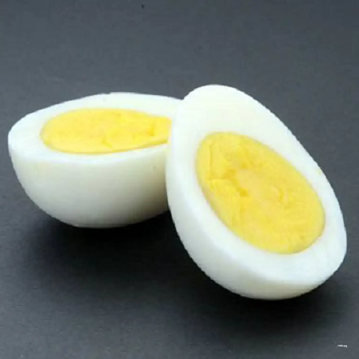 Egg Half Physical Bitcoin (Casascius Style)