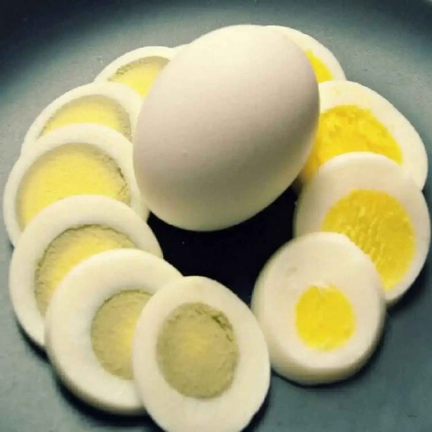 The Golden Ratio Egg Cold Wallet – Organic Pop-Art