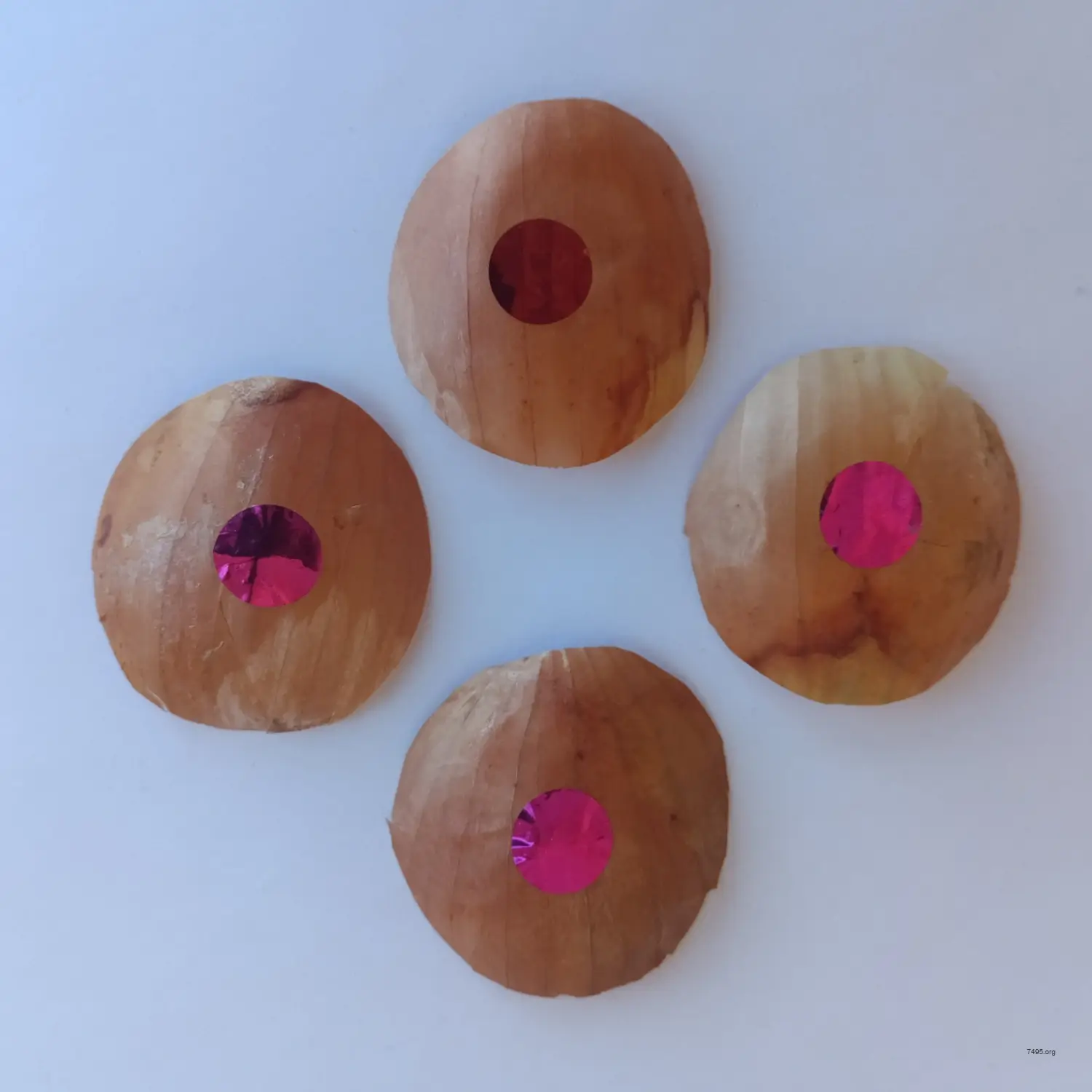 Onion Skin Bitcoin – Cypherpunk Tor Privacy Edition