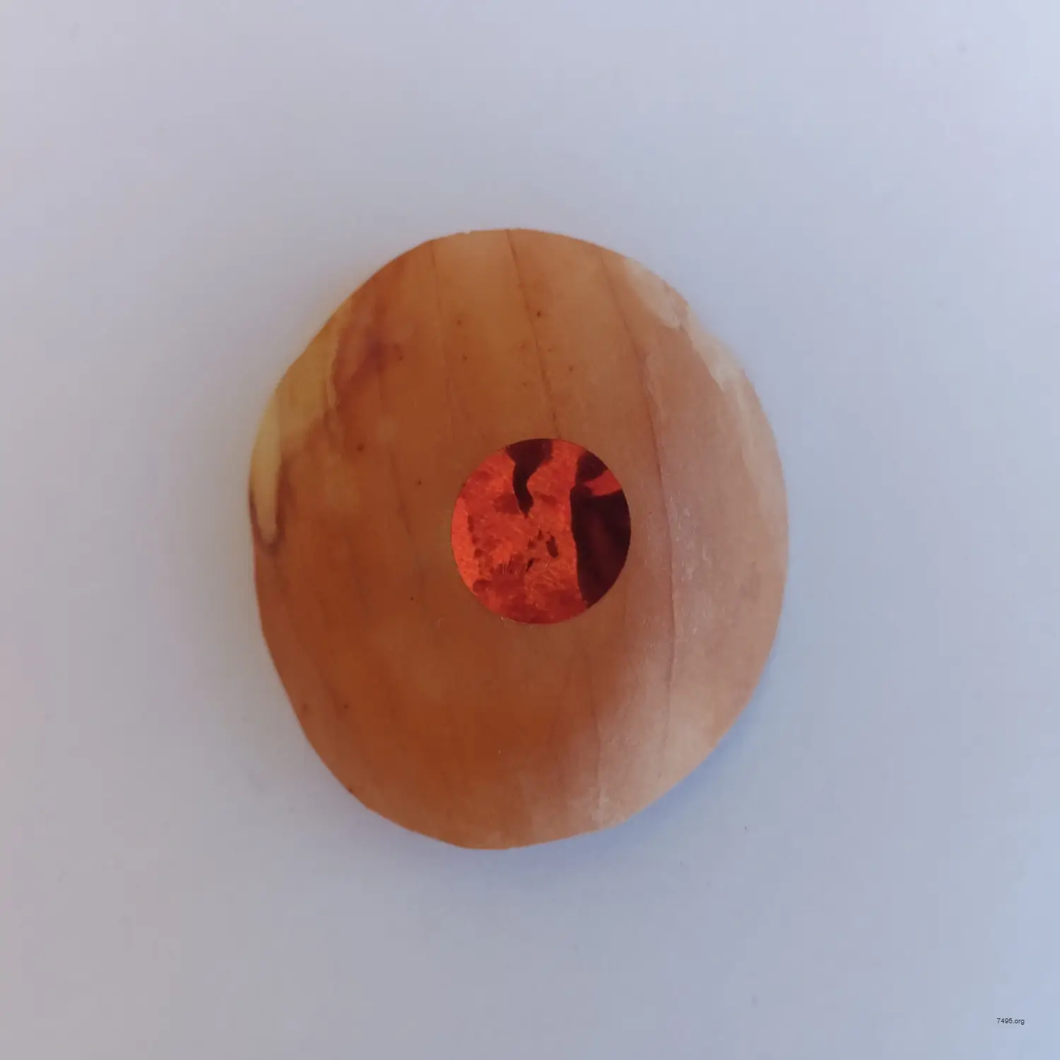 Translucent Organic Bitcoin (Casascius Style)