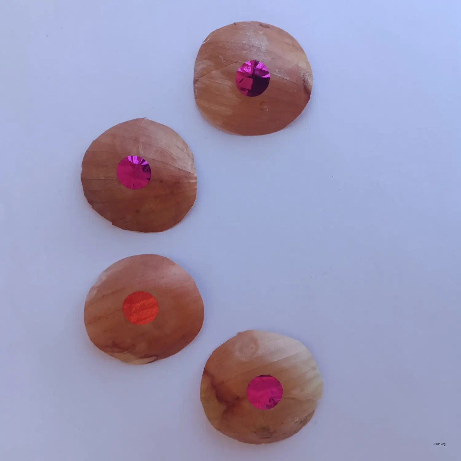 Onion Peel Conceptual Cold Wallet