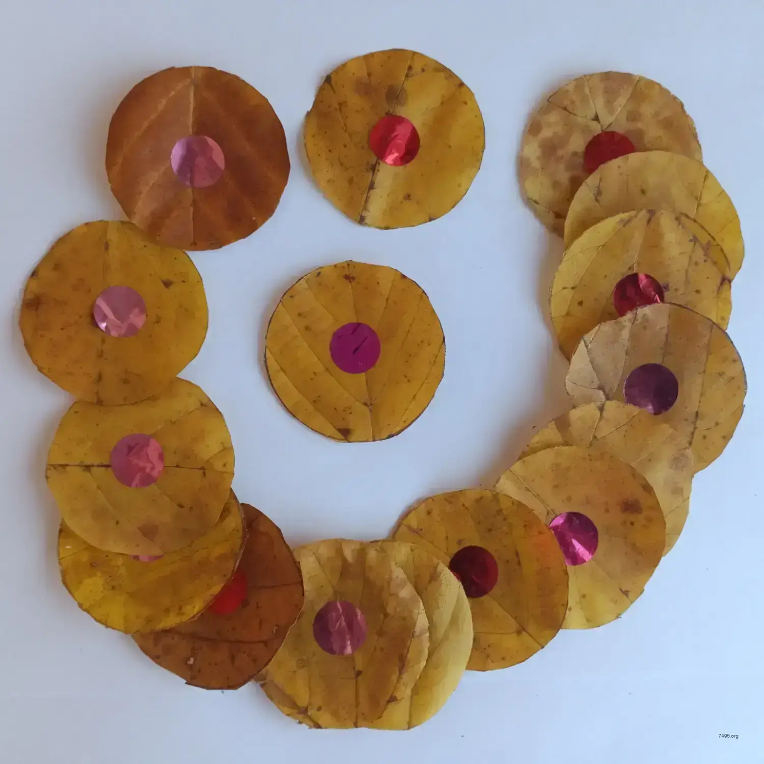 Organic Wood Edition Bitcoin